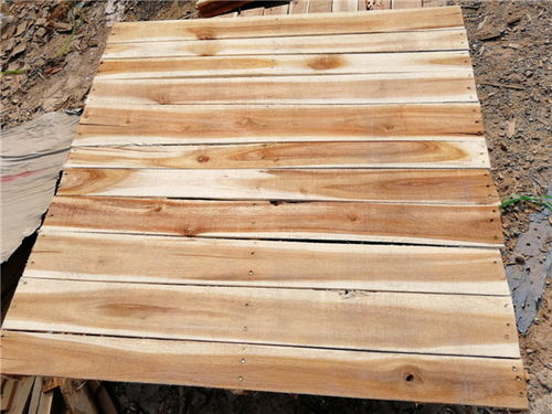 東莞聯合木制品經營部 循環利用，變廢為寶的綠色守護者